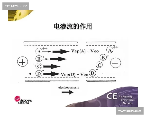 足球转会市场中的风险评估与应对策略分析 足球转会市场中的风险评估与应对策略分析