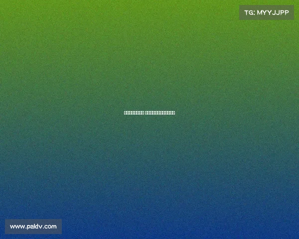 网球赛场荣耀之巅 解析冠军背后的努力与风采 网球赛场荣耀之巅 解析冠军背后的努力与风采