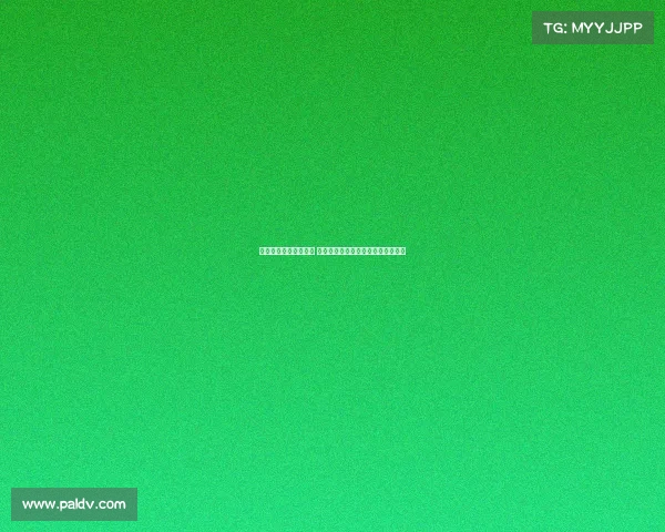 网球赛场观众热情高涨 专注赛事激烈对决共同见证精彩瞬间